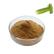 Chinese supply pure natural organic bulk celery extract powder apigenin 12% 98%